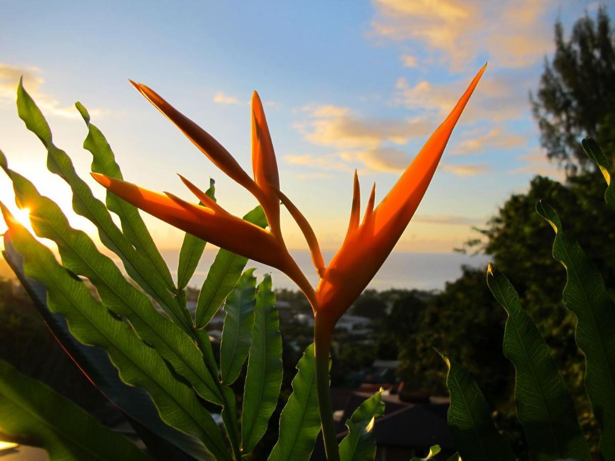Bounty Lodge Tahiti Arue  Bagian luar foto