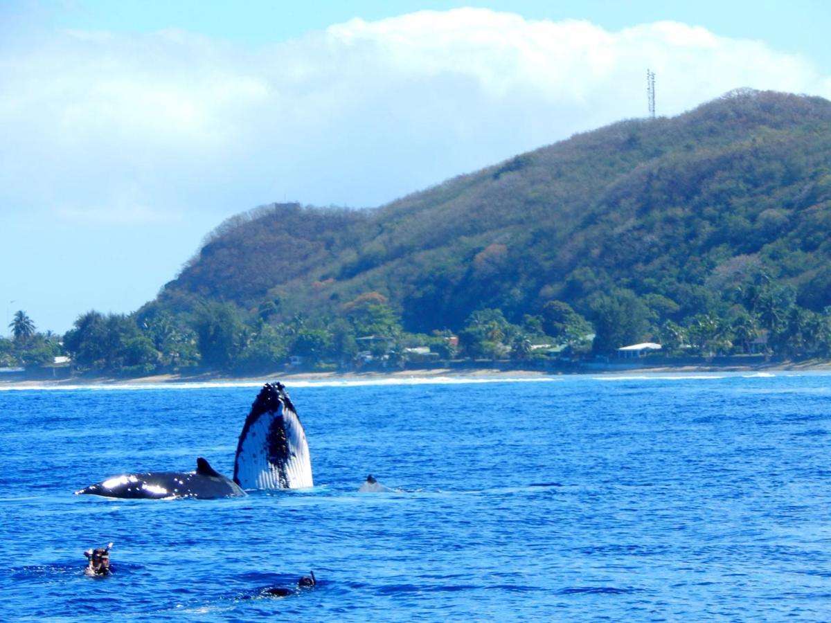 Bounty Lodge Tahiti Arue  Bagian luar foto