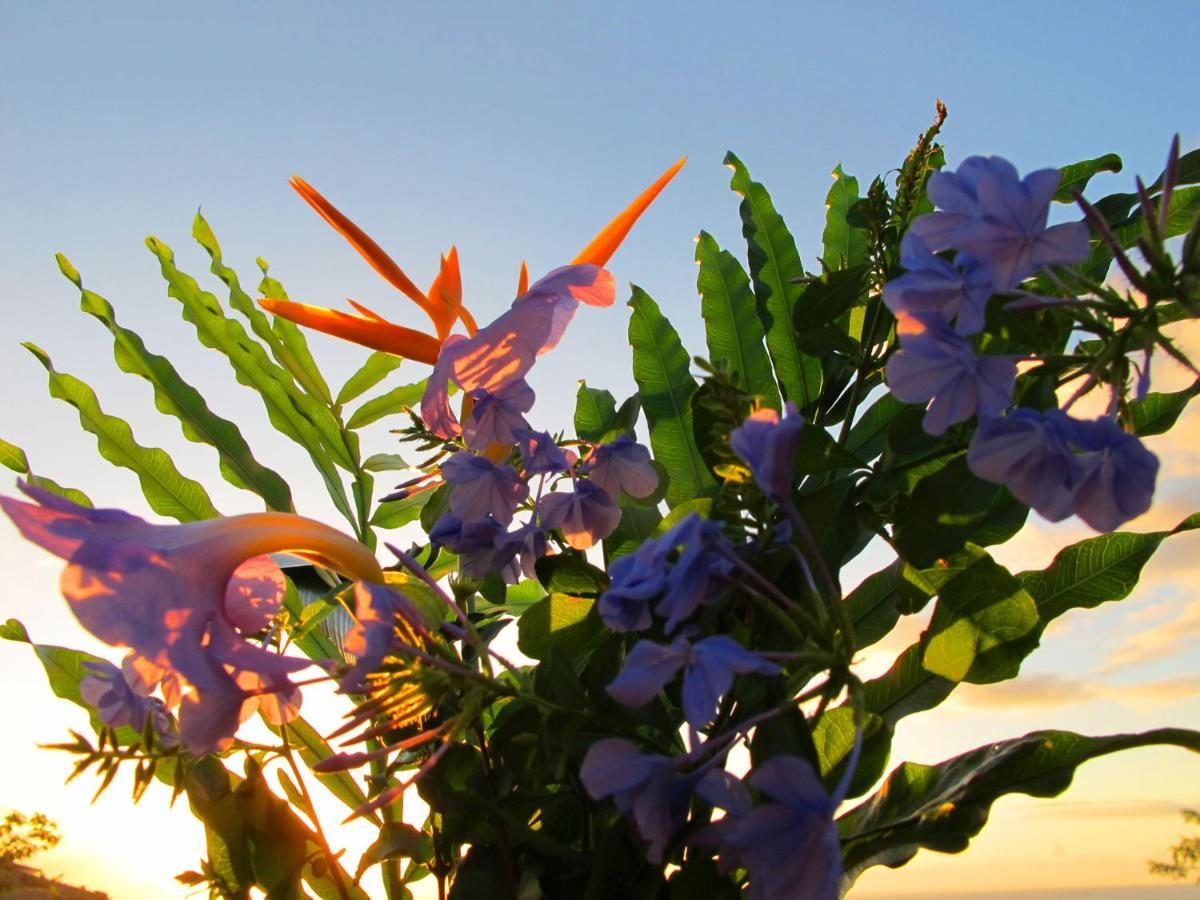 Bounty Lodge Tahiti Arue  Bagian luar foto