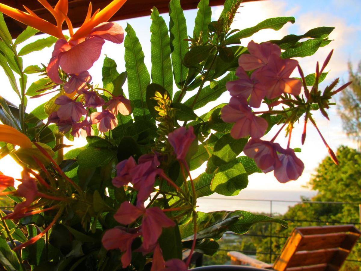 Bounty Lodge Tahiti Arue  Bagian luar foto